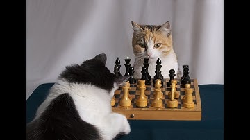 Самодельный шахматный движок (часть 1)