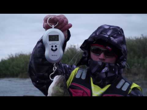 АСТРАХАНЬ. СУДАК, ЩУКА, ОКУНЬ. ДИАЛОГИ О РЫБАЛКЕ. ©