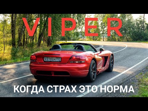 Видео: Dodge Viper. Для тех, кому НЕЧЕГО терять