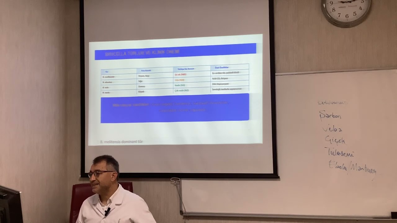 Brucella enfeksiyonları (DV Dersi ...2025)