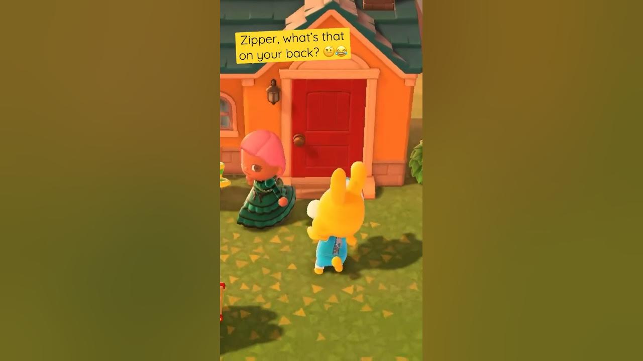 Zipper, what’s that over there! 🤨😂 animalcrossing acnh zipper 