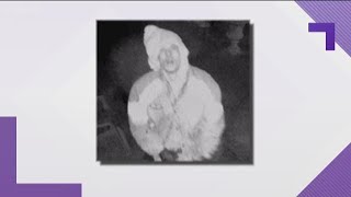 Gwinnett County Police looking for serial