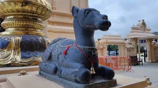 Dallas Texas Hindu temple morning visit on weekdays. Hanuman temple Dallas Texas 