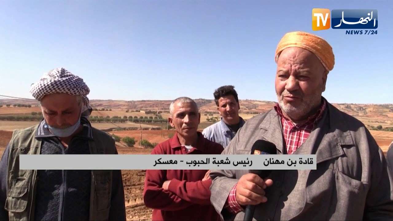 معسكر : فلاحو بلدية خلوية يسعون لإنجاح موسمهم الفلاحي بإستخدام كل الوسائل