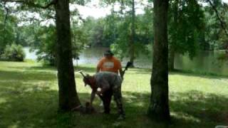 SANY0927.AVI