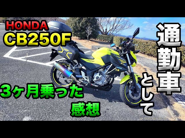 CB250F as my main commuter bike for 3 months - YouTube