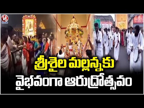 Annual Arudrotsavam Performed Grandly Held In AP Srisailam's Mallanna Temple | V6 News - V6NEWSTELUGU