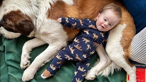 Tragic update: ‘Baby Zeke’ found dead; father Jeremy Best taken into custody