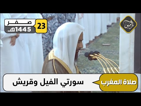 صلاة المغرب للشيخ أحمد بن طالب 23 صفر 1445هـ