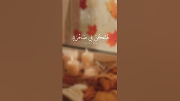🌹 شريف مصطفى 🤍 || تلاوة تلامس القلوب 💚... يابني انها ان تك مثقال حبة من خردل