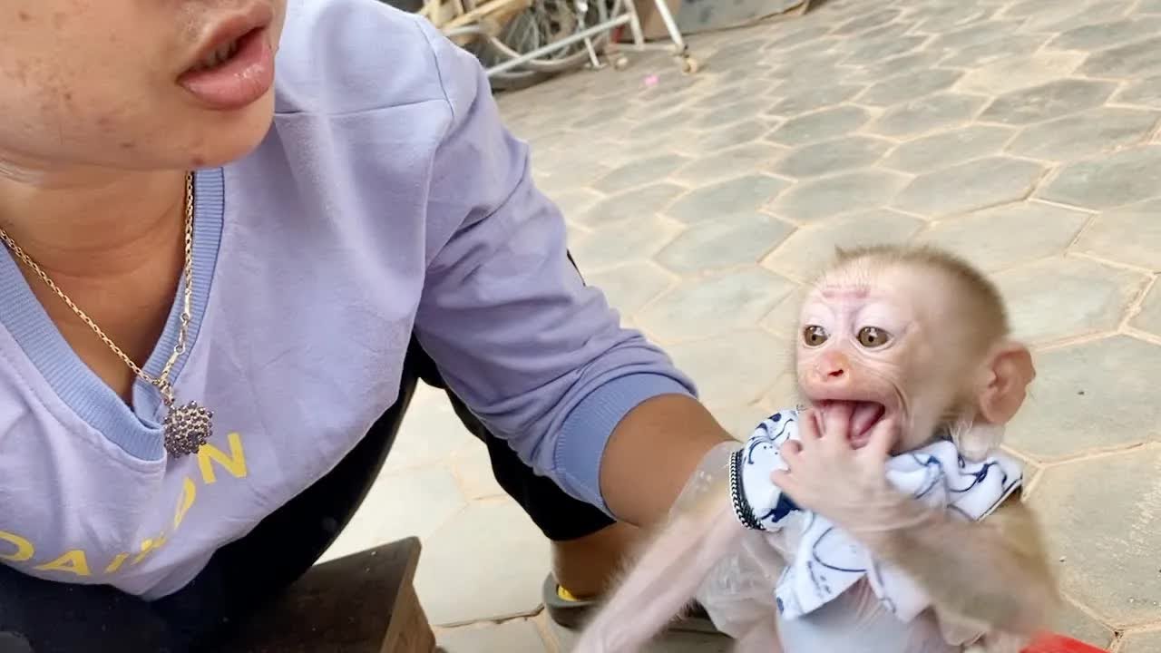 Spoiled DAM Wanna Cuddle Mom While Busy Working