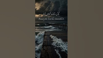 سورة الزلزلة ❤️❤️💫 #قرآن #اكسبلور #المصحف #لايك #حالات_واتس #الرحمن #تيك_توك #القزابري