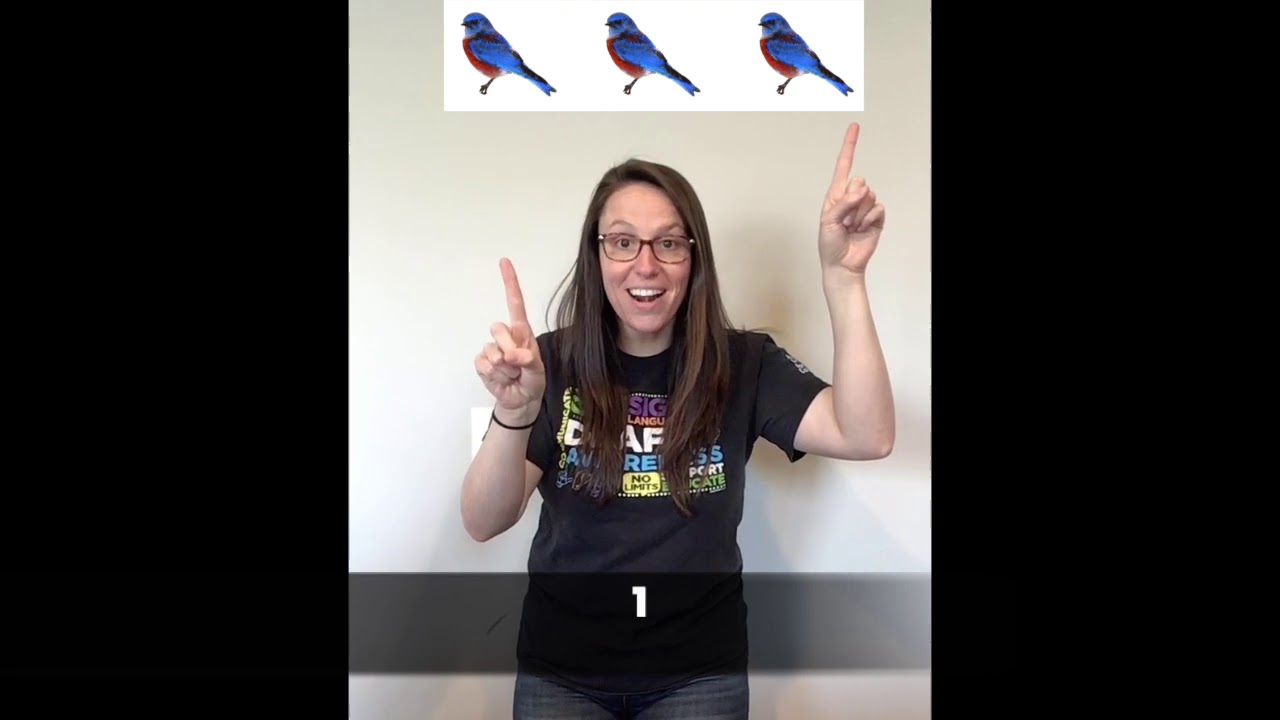 Bird Asl Sequence Let's Count Five Birds! in ASL - YouTube