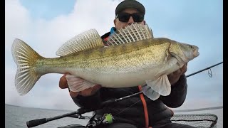 Pescuit la salau (raul Olt) - RTB Fortezza. Zander Fishing.