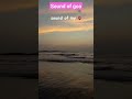 Sound of goa goa2024 beach goaexperience love goadiary goabeaches goaflix goavlog