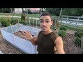 Protecting My Seedlings! | Vlog
