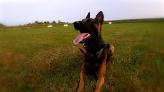 Woodbury Sergeant Natalie Bauer and K9 Cirrus