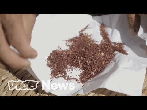 The Most Expensive Spice In the World Comes From Kashmir