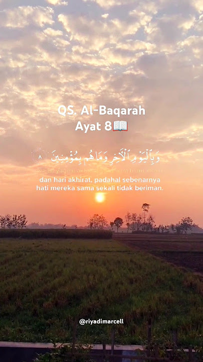 QS. Al-Baqarah Ayat 8📖 || Lili Rahmah #murottal #quran #quotes
