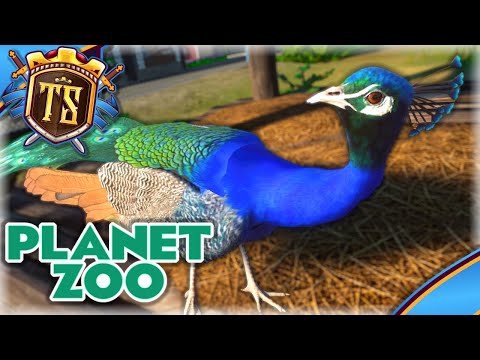 OPBYGGER MIN HELT EGEN PARK I PLANET ZOO! - Ep 1 | Dansk Planet Zoo