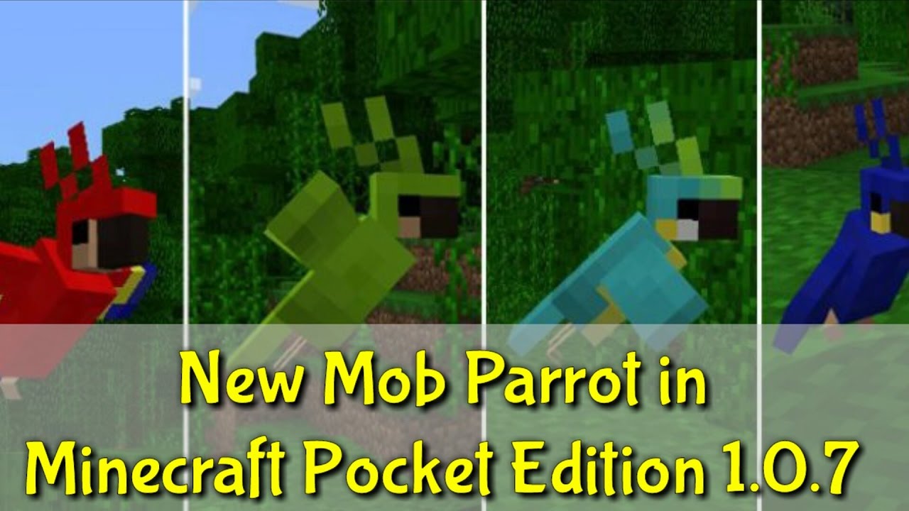 NEWS MOB UPDATE!!! Parrot in Minecraft Pocket Edition ( MCPE 1.0.7 ADDON ) - YouTube