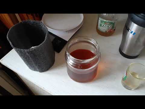 Как приготовить чайный гриб из шиповника в домашних условиях