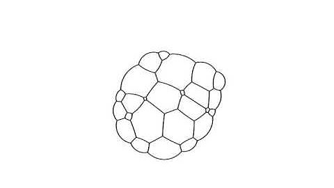 2D Dry Foam: 40 cells to 3 cells