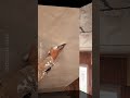 DECORAR CO LA LUZ. Te dejo este súper tip para agregar punto de luz. Arq Vilma Guerrero