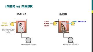 MBR Insights - MBRs vs MABRs