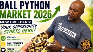     Ball Python Market 2026: Is The Reptile Industry Crashing? (Real MorphMarket Data)