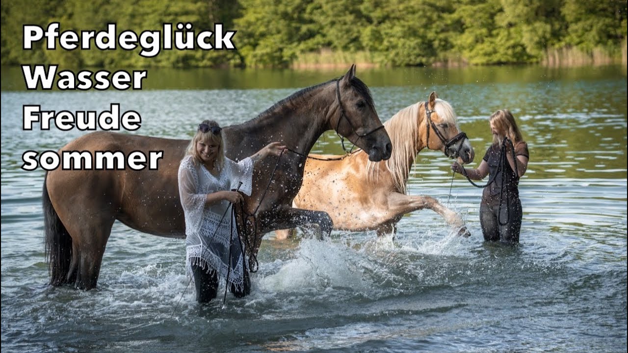 Pferdeglück Wasser Freude Sommer - Privatgestüt Möningerberg