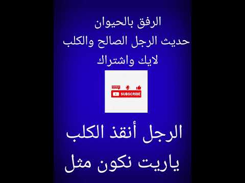شوفو رد فعل الرجل لما شاف الكلب (الرفق بالحيوان)