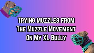 Trying muzzles on my XL Bully