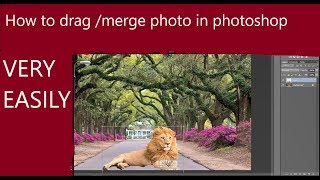 Drag two photos in photoshop (very  quick) in hindi हिन्दी(tutorial 1.1)  by How To screenshot 5