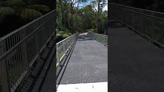 NEW! Cycleway Bridge at Terrys Creek upgraded - improved link from Epping to Macquarie Park #shorts