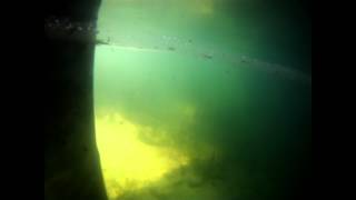 Floating Down the Wakulla River with a GoPro