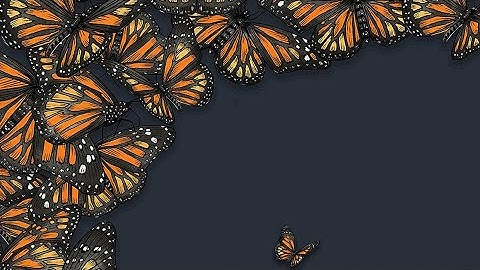 Summer Of The Mariposas: Module 1, Unit 2, Lesson 6