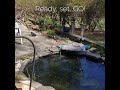 Waterpond Re Opening Spring 2020 Waterpond Re Opening Spring 2020