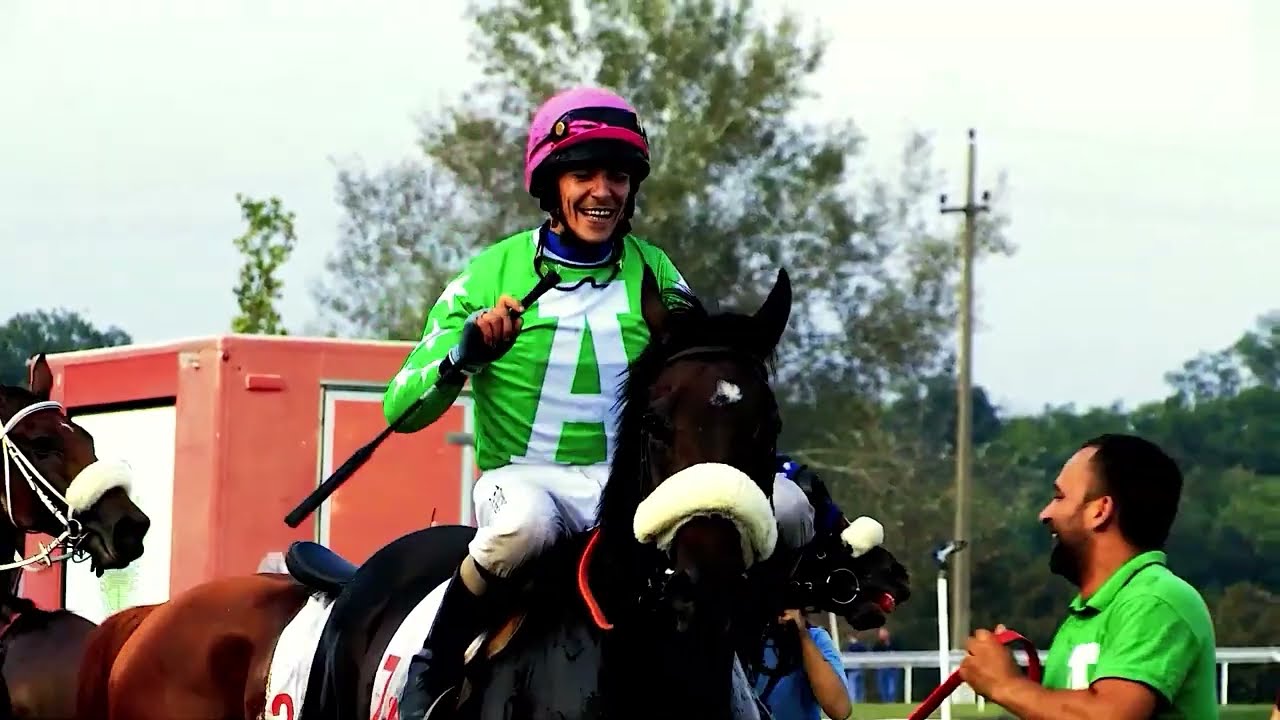 Konji ponovo jure ep. 1452 31.10.2025. VI sastanak galopera u Beogradu, trka Everst, norveški fjord