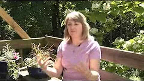 Cheryl Newton - S.F. Pauli Builders