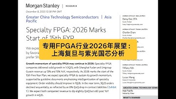 专用FPGA行业2026年展望：上海复旦与紫光国芯分析