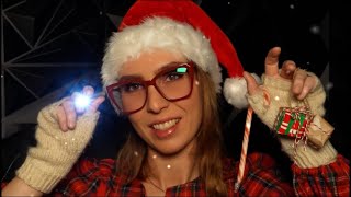 ASMR 🎄✨ Mrs. Claus Cranial Nerve Exam (Light Triggers) 