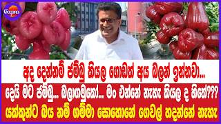 අද දෙන්නම් ජම්බු කියල ගොඩක් අය බලන් ඉන්නවා...දෙයි මට ජම්බු... බලාගමුකෝ... මං එන්නේ නැහැ කියල ද හිතේ?