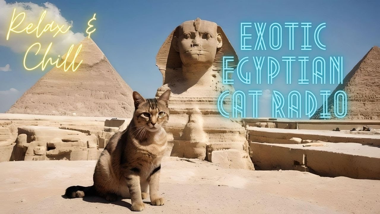 Relax & Chill - Exotic Egyptian Cat Radio