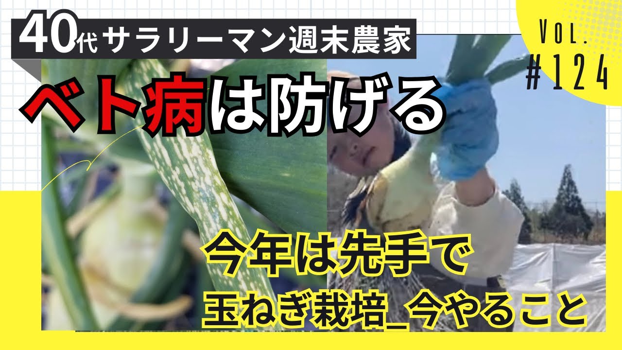 【玉ねぎベト病対策】全滅を防ぐために“今”やるべきこと｜昨年の全滅から学んだ、私の結論_週末農業_Vol.124