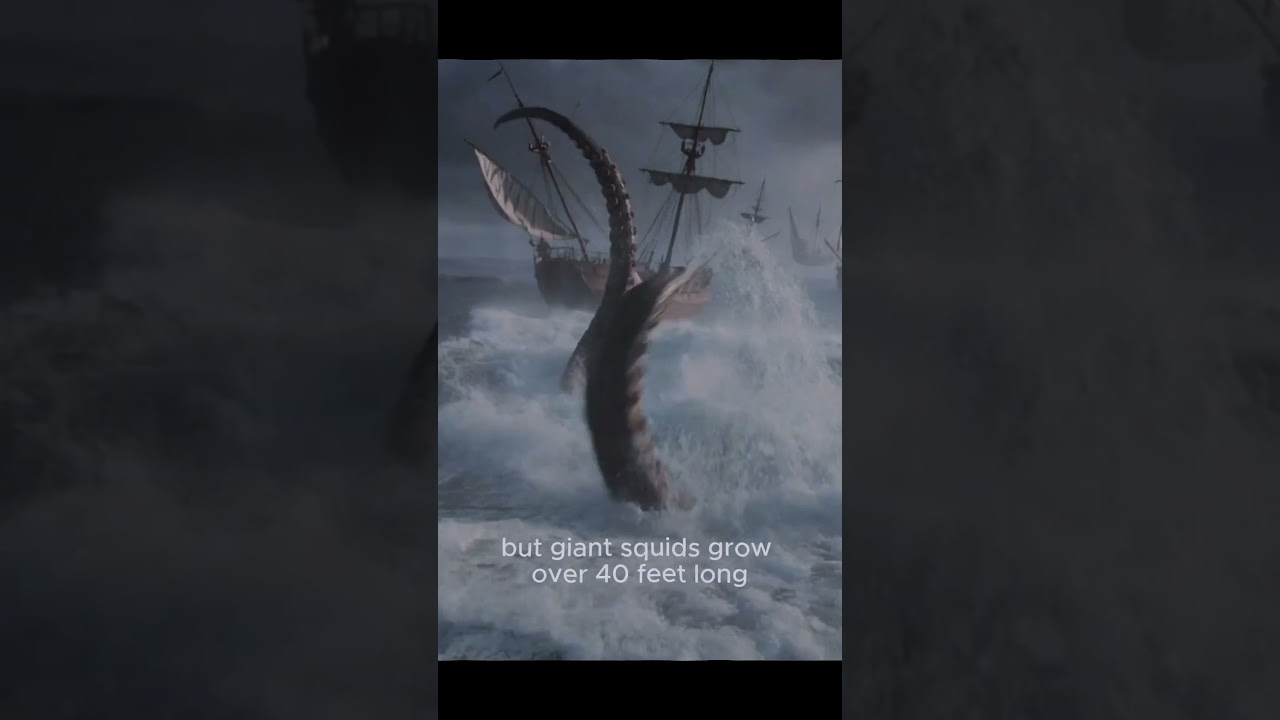 “Was the Kraken an Unseen Species?”