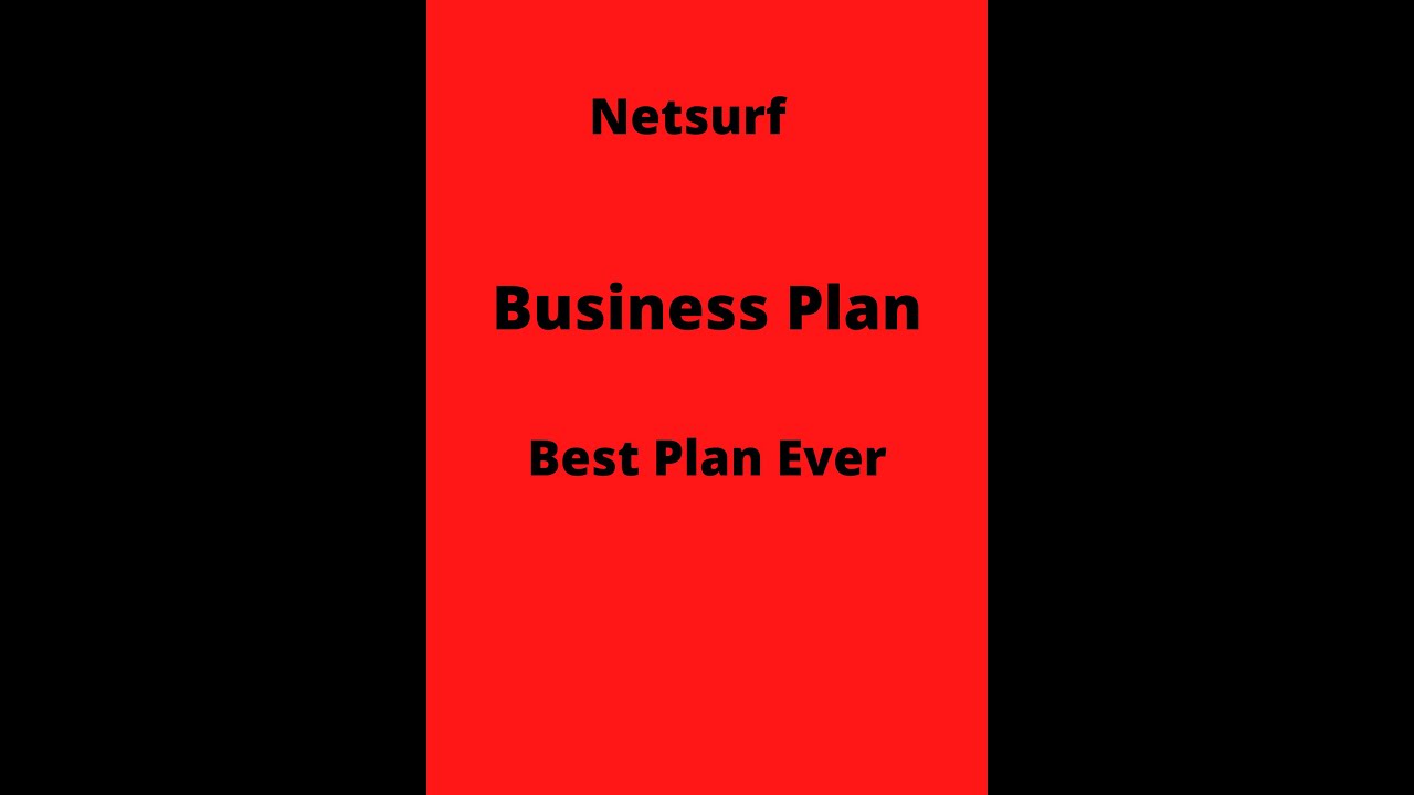 netsurf business plan ppt