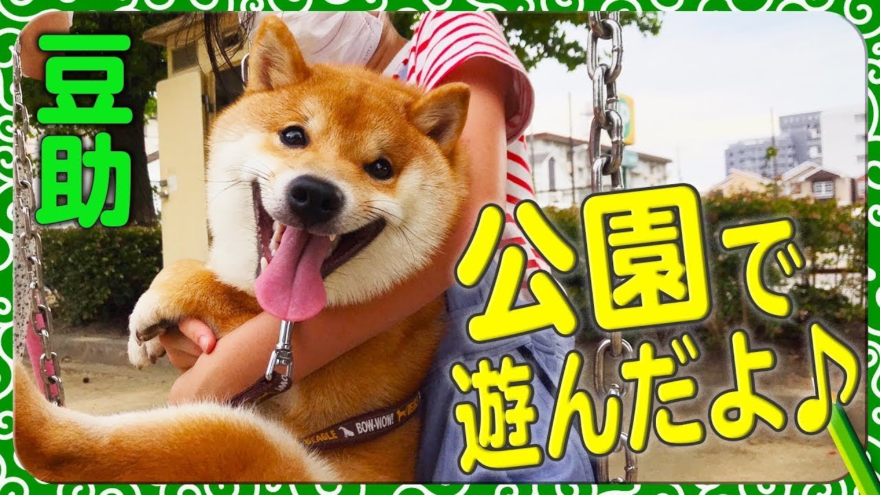 豆助んち029】豆助、大好きな姪っ子ちゃんたちと公園で遊んだよ