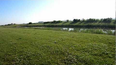 Blade mCP X inverted flight