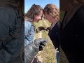 Amazing bird えっ、そんな器用にたためるんだ→惚れたら負け